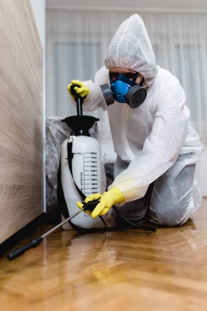 Reliable Mastic, NY Pest control Solutions